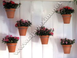 Wall Mounted Flower Pot