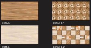 Ceramic Glazed Wall Tile (300X600mm)