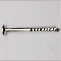 Malleolar Screw