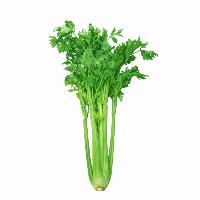 Celery