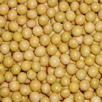 Organic Soybean
