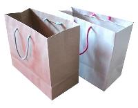 Shoe Paper Carry Bags