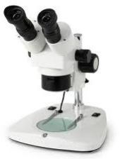 Zoom Stereo Microscopes