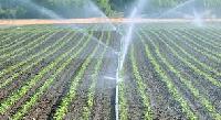 drip irrigation sprinklers