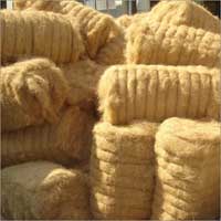 Coir Fiber