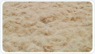 white coir fiber