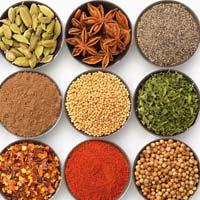 Indian spices