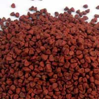 Annatto Seeds