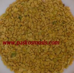 Fenugreek Seed