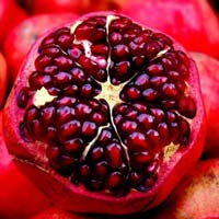 Fresh pomegranate