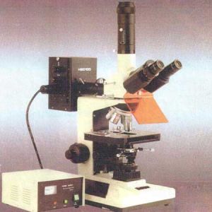 Fluorescence Microscope