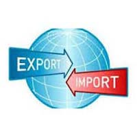 Export Import Consultants