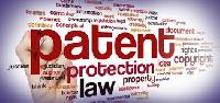 patent prosecution service