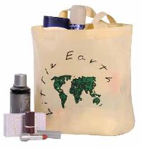 Non Woven Bag (LENW)