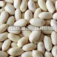 Blanched Peanuts