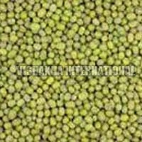 Green Millet Seeds