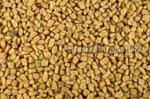 Natural Fenugreek Seeds