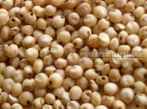 Natural Sorghum Seeds