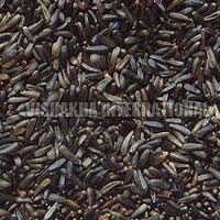 Niger Seeds