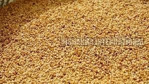 Roasted Sesame Seeds