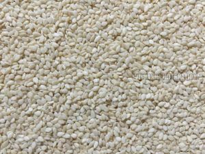 Sesame Seeds