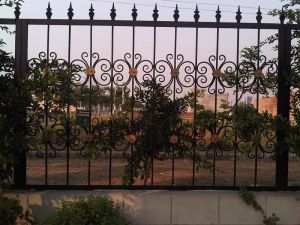 Stainless Steel Garden Railings