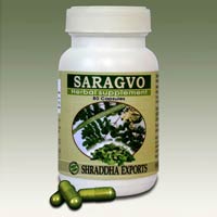 Moringa Oleifera Capsules