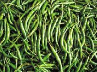 Fresh Green Chilli