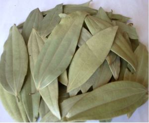 Dried Bay Leaves