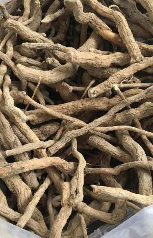 Sarpagandha Root