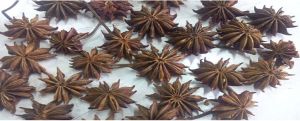 Star Anise