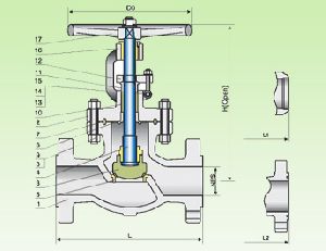 Cast steel Globe valve 150 LB /300 LB