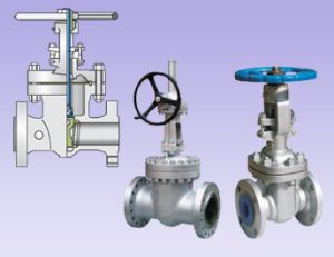 Globe Valve