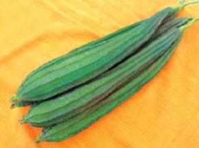 ridge gourd seeds