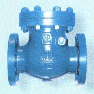 Swing Check Valve