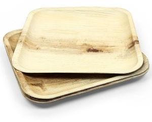 Palm Leaf Tray