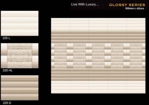 Digital Ceramic Wall Tiles for Bathroom 225