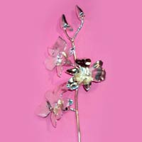 Silver Plated Orchid Flower