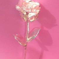 silver dipped rose