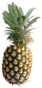 Fresh Pineapple