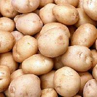 Fresh Potatoes