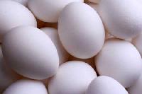 Poultry Eggs