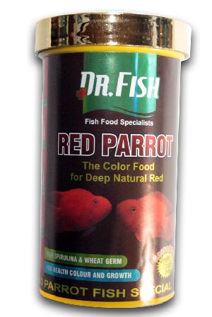 red parrot fish