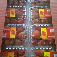 Kamila Strawberry Plant