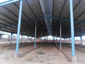 Dairy Farm Sheds