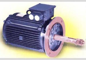 Cooling Tower Motors