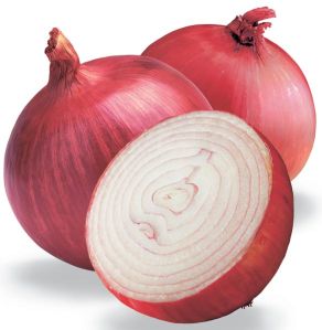 Onion