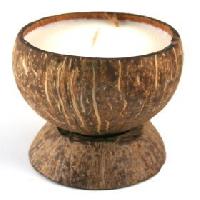 coconut shell craft