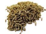 Cumin Seeds