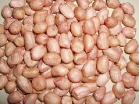 Groundnut Suppliers